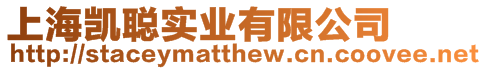 上海凱聰實業有限公司