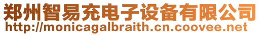 鄭州智易充電子設(shè)備有限公司