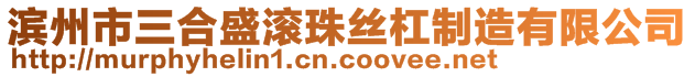 濱州市三合盛滾珠絲杠制造有限公司