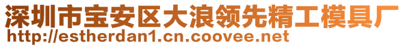 深圳市宝安区大浪领先精工模具厂