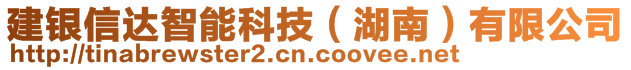 建銀信達智能科技（湖南）有限公司