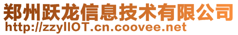 郑州跃龙信息技术有限公司