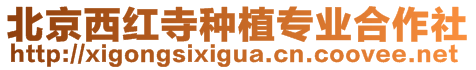 北京西紅寺種植專業(yè)合作社