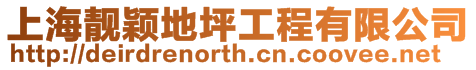 上海靚穎地坪工程有限公司