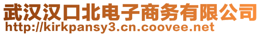 武漢漢口北電子商務(wù)有限公司