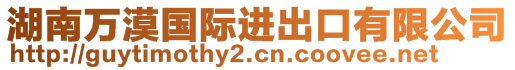 湖南萬漠國際進(jìn)出口有限公司