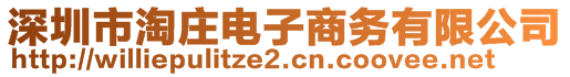 深圳市淘莊電子商務(wù)有限公司