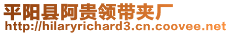 平陽縣阿貴領(lǐng)帶夾廠