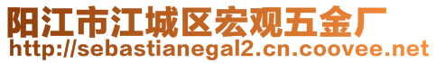 陽(yáng)江市江城區(qū)宏觀五金廠