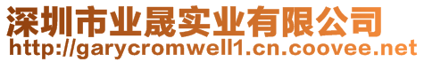 深圳市業(yè)晟實(shí)業(yè)有限公司