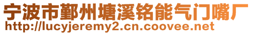 寧波市鄞州塘溪銘能氣門(mén)嘴廠