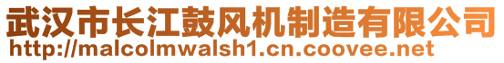 武漢市長江鼓風(fēng)機制造有限公司