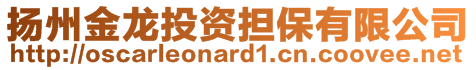 揚州金龍投資擔保有限公司