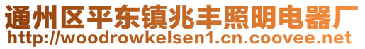 通州區(qū)平東鎮(zhèn)兆豐照明電器廠