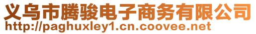 義烏市騰駿電子商務(wù)有限公司