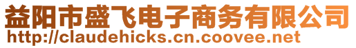 益陽市盛飛電子商務(wù)有限公司