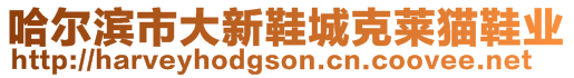 哈爾濱市大新鞋城克萊貓鞋業(yè)