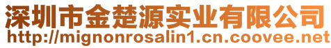 深圳市金楚源實(shí)業(yè)有限公司