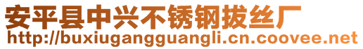 安平縣中興不銹鋼拔絲廠