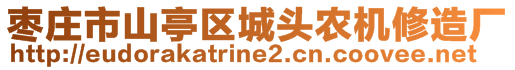 棗莊市山亭區(qū)城頭農(nóng)機(jī)修造廠