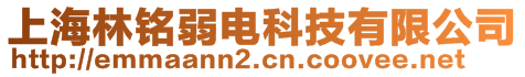 上海林銘弱電科技有限公司