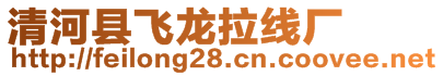 清河縣飛龍拉線廠