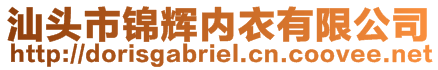 汕頭市錦輝內衣有限公司