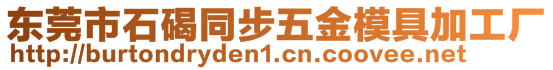 東莞市石碣同步五金模具加工廠