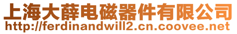 上海大薛電磁器件有限公司