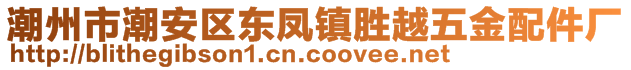 潮州市潮安區(qū)東鳳鎮(zhèn)勝越五金配件廠