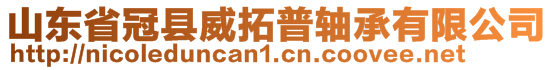 山东省冠县威拓普轴承有限公司