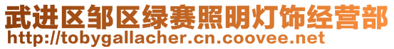 武進(jìn)區(qū)鄒區(qū)綠賽照明燈飾經(jīng)營部