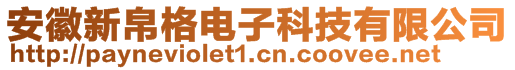 安徽新帛格電子科技有限公司