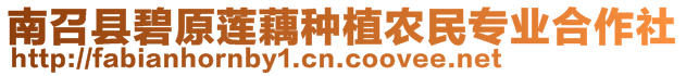 南召縣碧原蓮藕種植農(nóng)民專(zhuān)業(yè)合作社