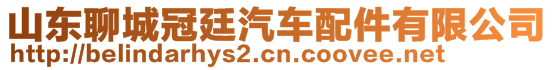 山東聊城冠廷汽車配件有限公司