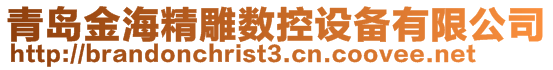 青岛金海精雕数控设备有限公司