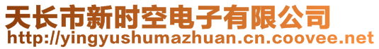 天長市新時(shí)空電子有限公司