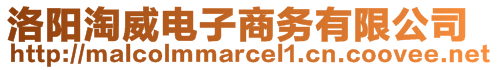 洛陽淘威電子商務(wù)有限公司