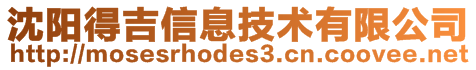 沈阳得吉信息技术有限公司