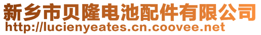 新鄉(xiāng)市貝隆電池配件有限公司