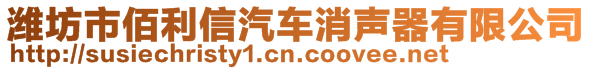 濰坊市佰利信汽車消聲器有限公司