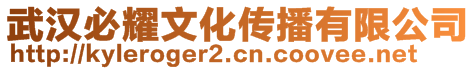 武漢必耀文化傳播有限公司