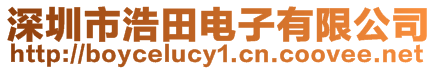 深圳市浩田電子有限公司
