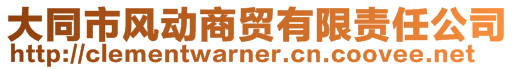 大同市風動商貿有限責任公司