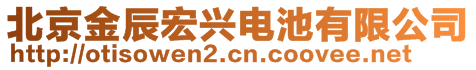 北京金辰宏興電池有限公司