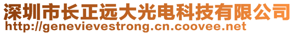 深圳市長正遠大光電科技有限公司