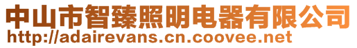 中山市智臻照明電器有限公司