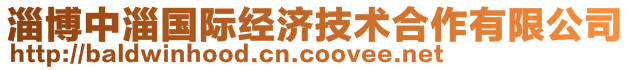 淄博中淄國(guó)際經(jīng)濟(jì)技術(shù)合作有限公司