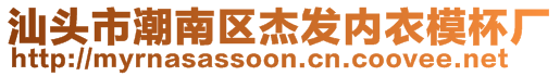 汕頭市潮南區(qū)杰發(fā)內(nèi)衣模杯廠