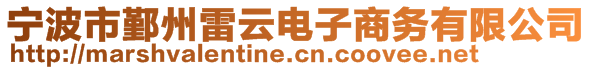 寧波市鄞州雷云電子商務(wù)有限公司